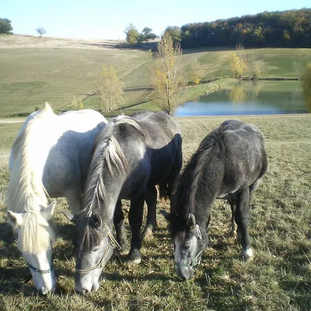 Chalé Le Poulailler *