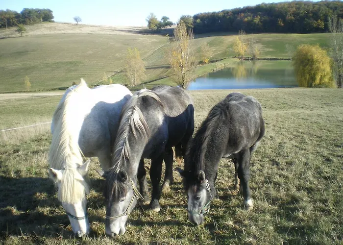 Dağ evi Le Poulailler *