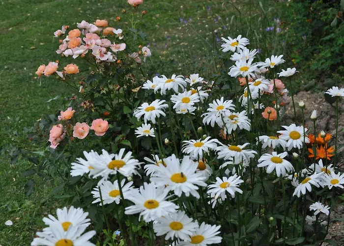 Le Poulailler Dağ evi Lavit